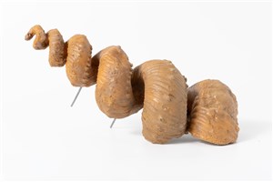 Image description is not available for 1998.3.8